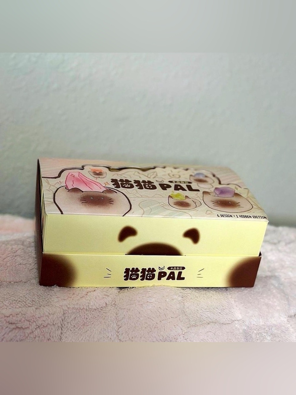 Cat Pal Blind Box Case -6 pack